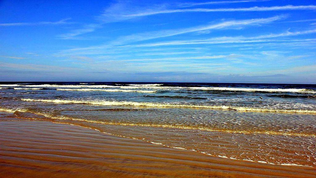 דייטונה ביץ' Oceanview Studio מראה חיצוני תמונה
