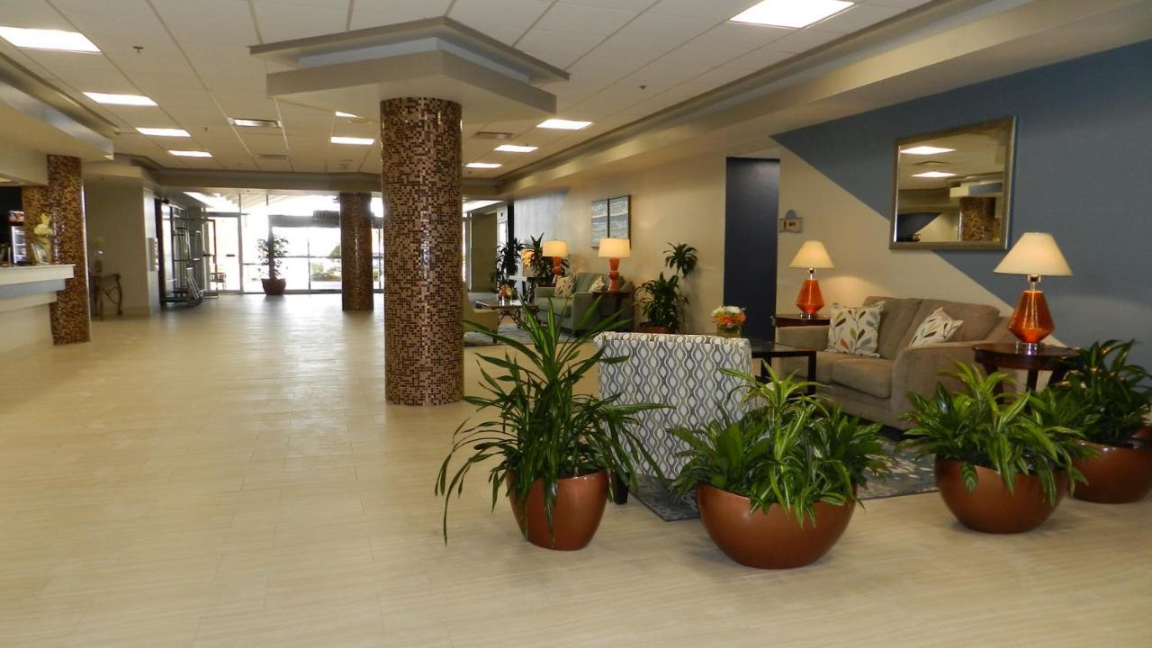 דייטונה ביץ' Oceanview Studio מראה חיצוני תמונה